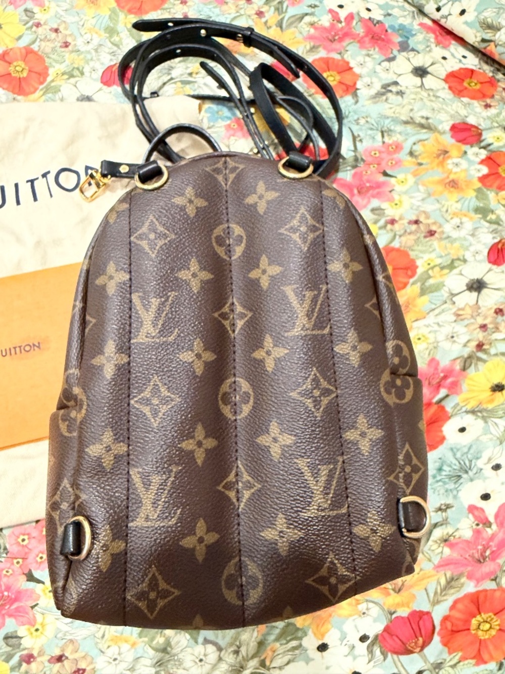 Louis Vuitton Palm Springs Mini Backpack Monogram Black Authentic - Picture 3 of 7
